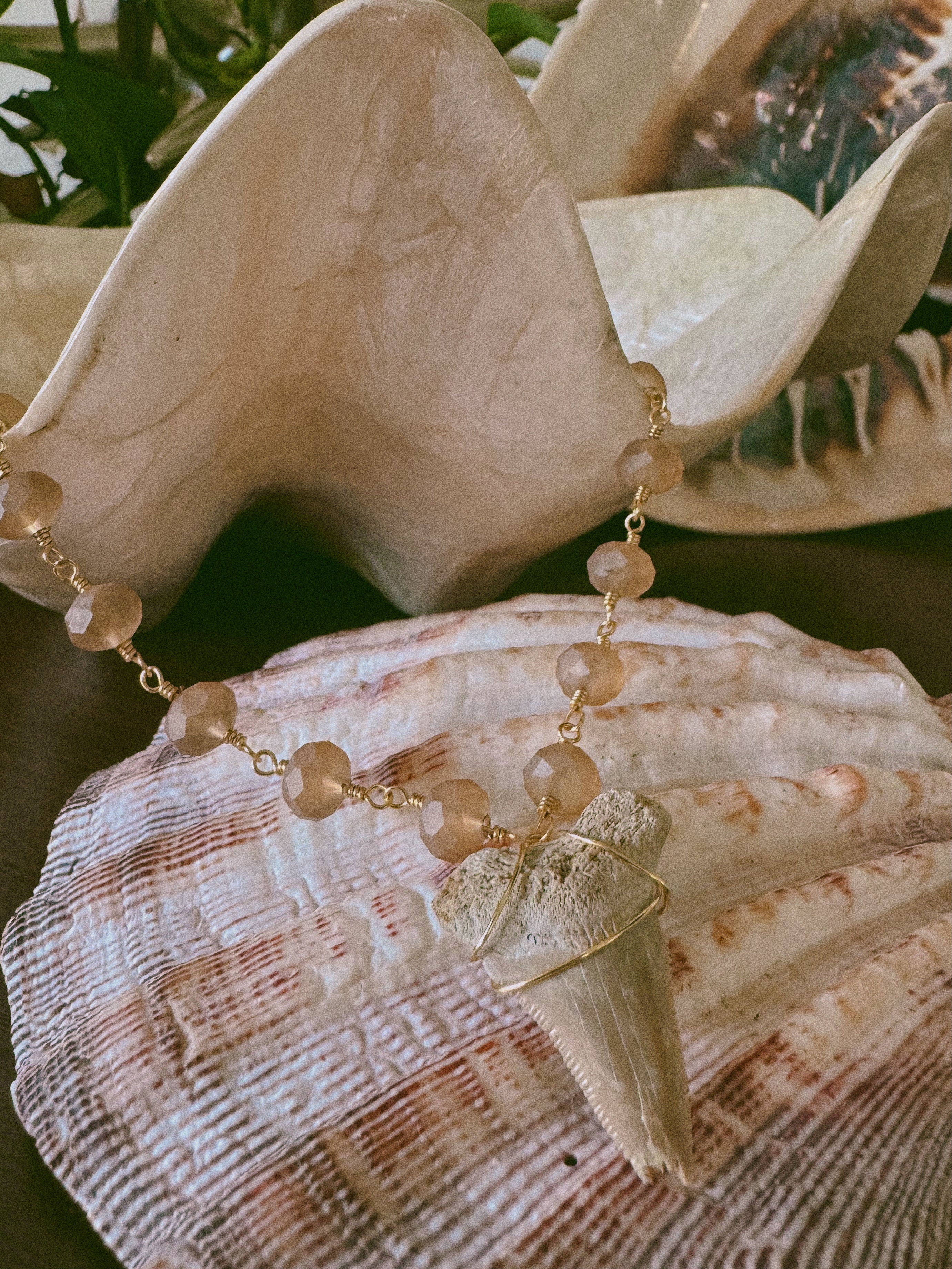 Fossilized Megalodon Shark Tooth and Glass Bead Necklace